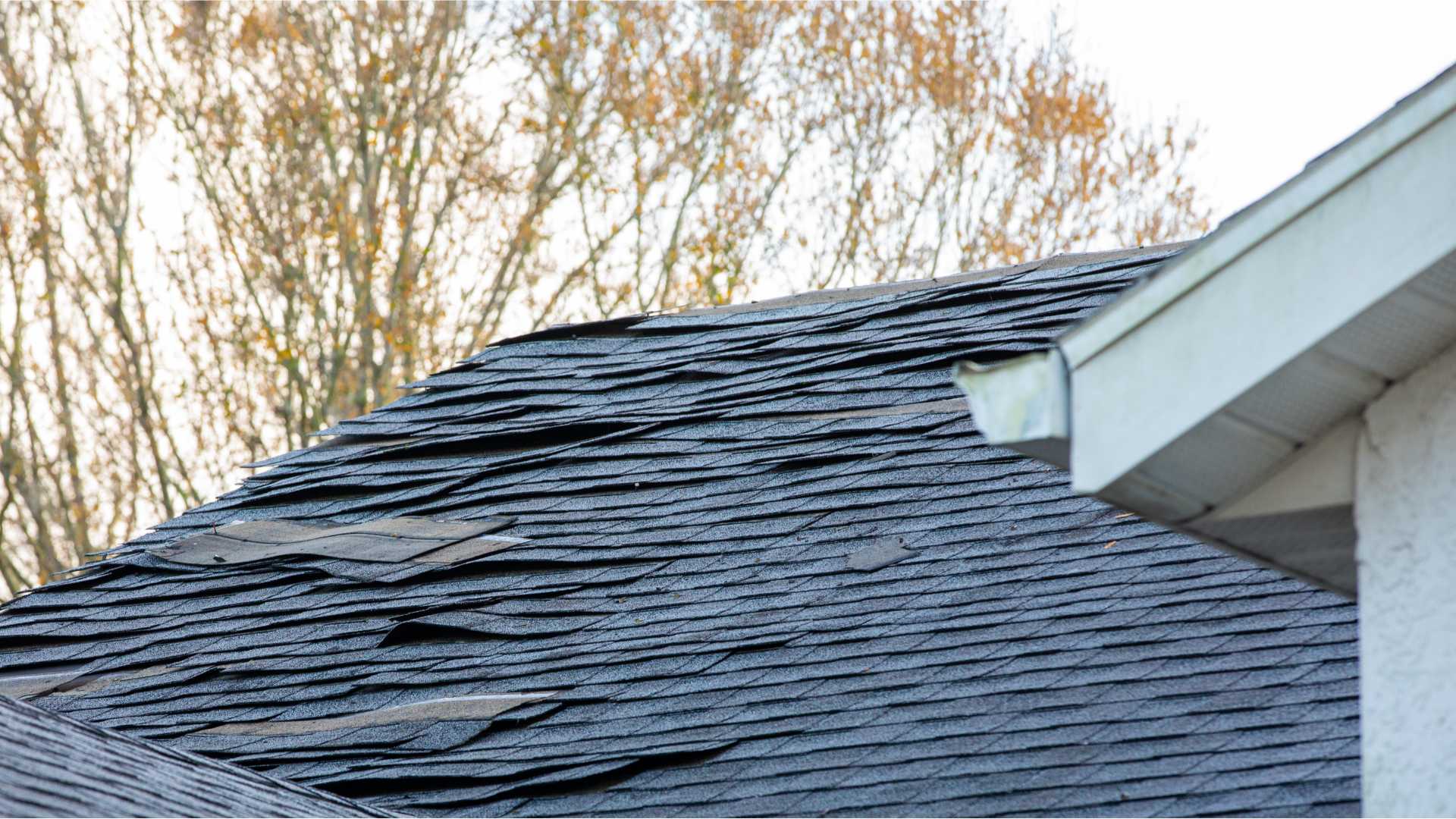 hero roof damaged albany oh